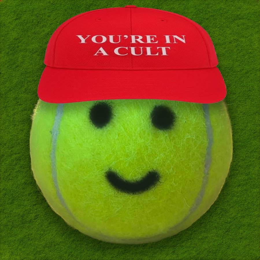 tennis ball in a red cap that says YOU'RE IN A CULT
