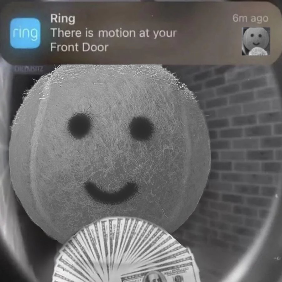 ring doorbell: there is motion at your front door