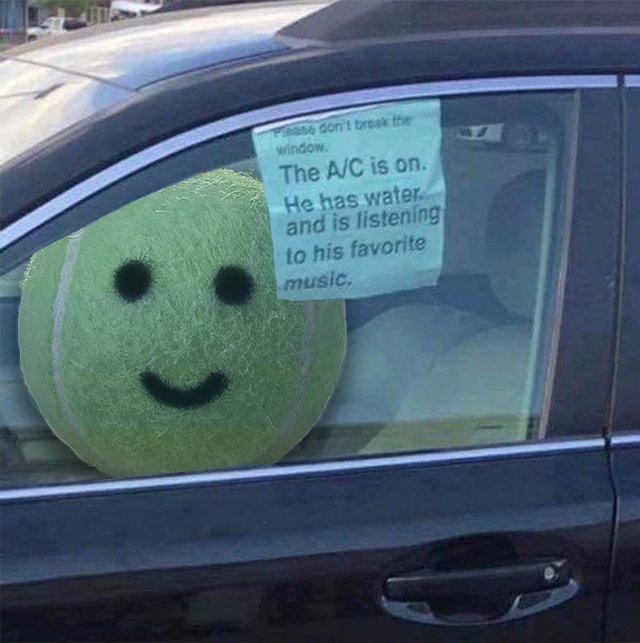 the A/C is on, he has water and is listening to his favourite music